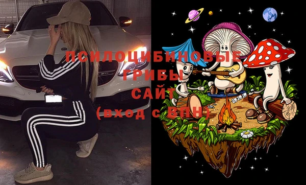 кокаин перу Михайлов
