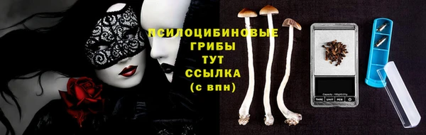 герыч Александровское