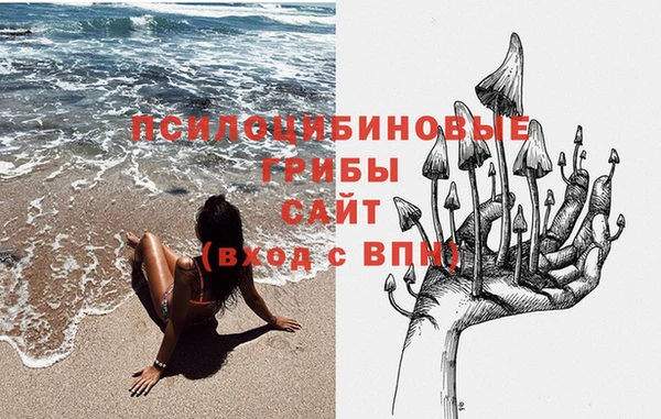 2c-b Михайловка