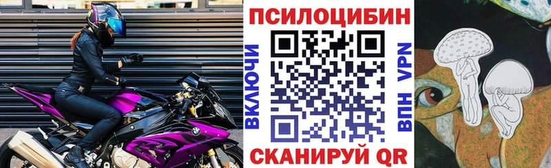 Купить закладки  Кирс  Псилоцибиновые грибы Cubensis 